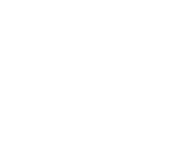 The Indian Brewery Company